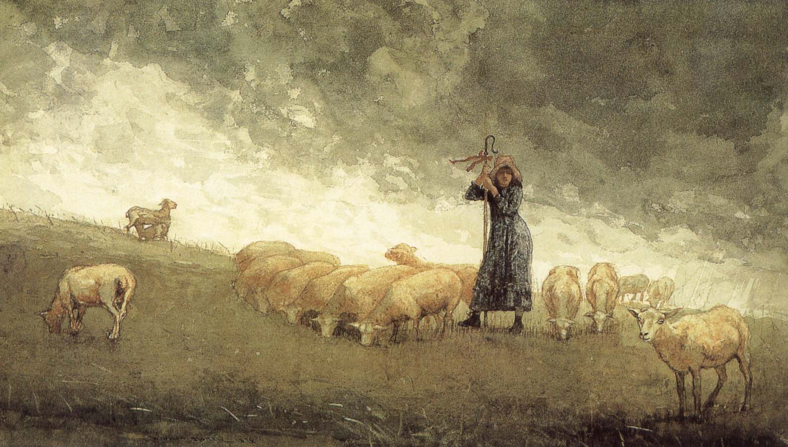 Shepherdess still control the sheep